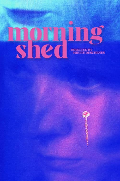 morningshed poster