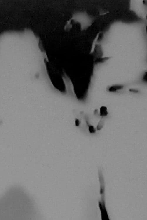 Witches Walk Monochrome poster