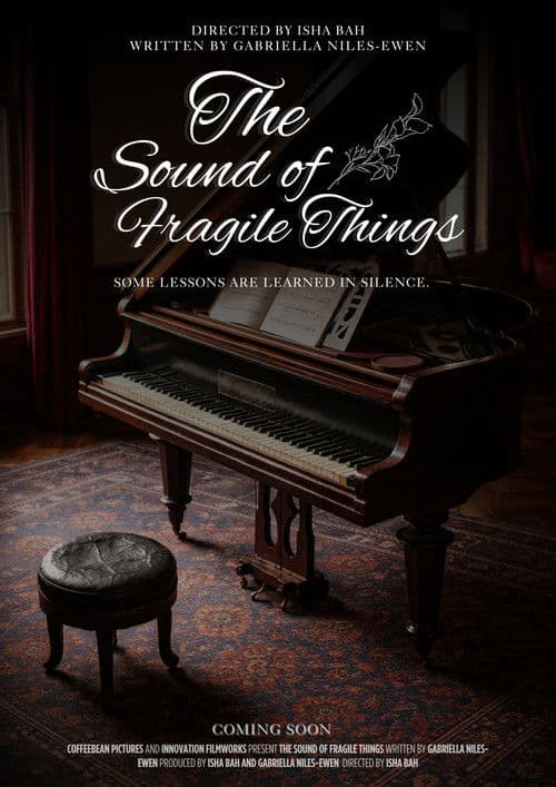 The Sound of Fragile Things poster