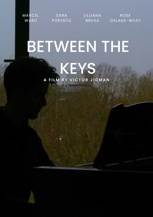 Between the Keys poster