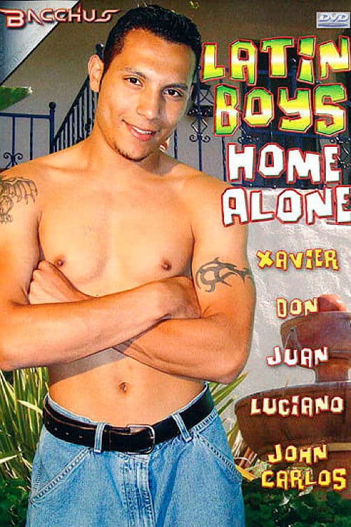 Latin Boys Home Alone poster