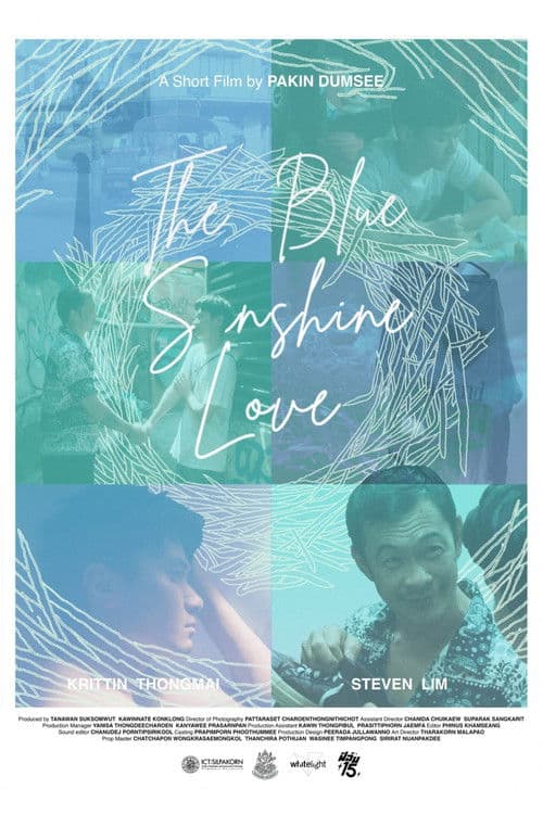 THE BLUE SUNSHINE LOVE poster
