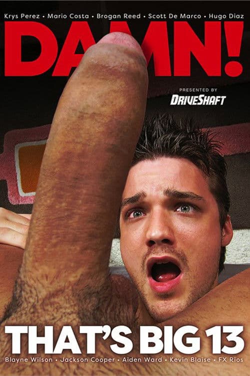 Damn That's Big 13 poster