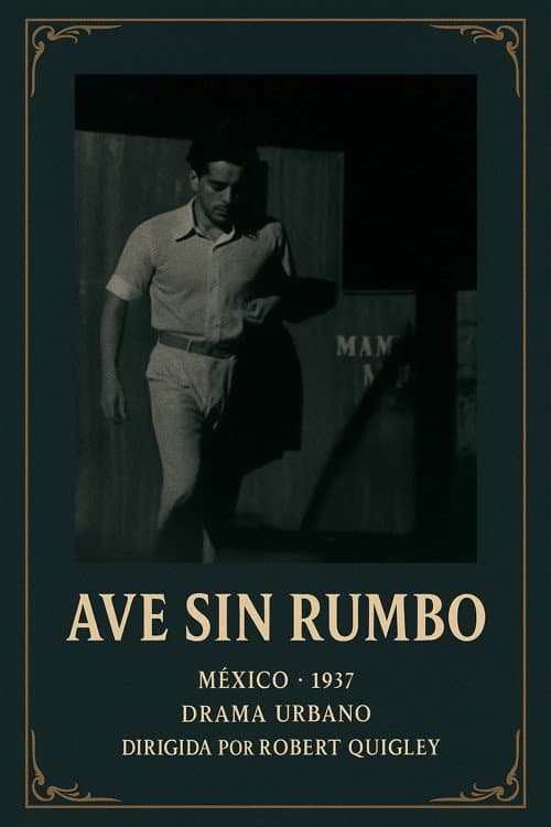 Ave sin rumbo poster