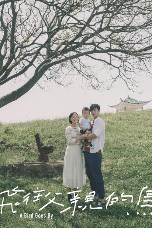 A Bird Goes By poster