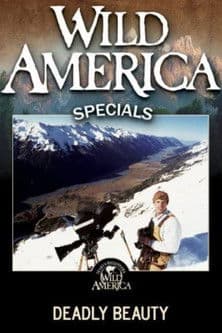 Deadly Beauty poster