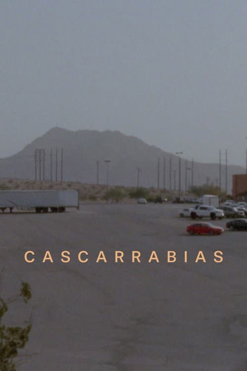 Cascarrabias poster