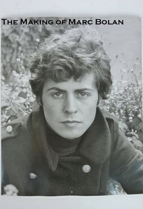 The Making of Marc Bolan poster