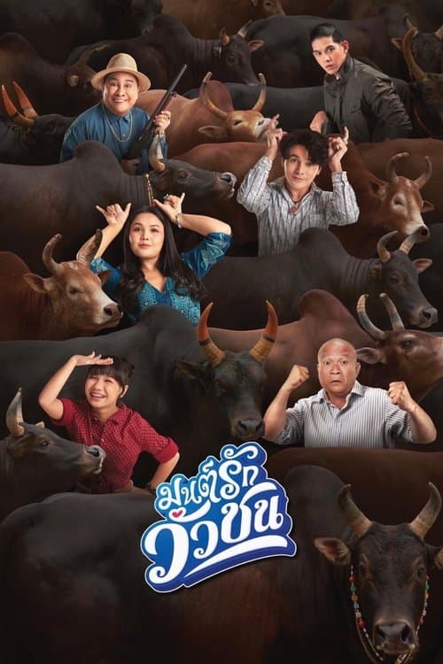 Love Battle vs Bullfighting poster