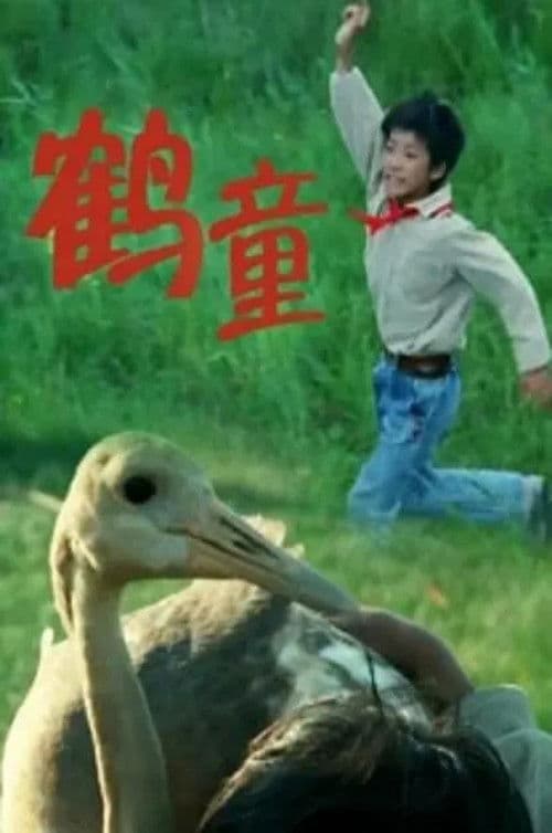 鹤童 poster