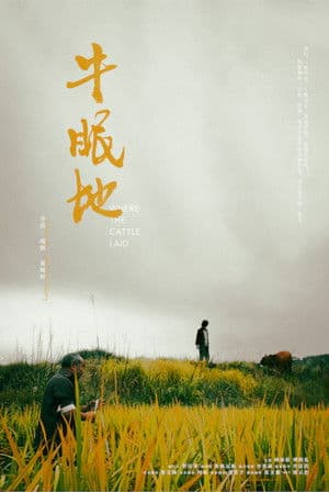 Where the Cattle Laid