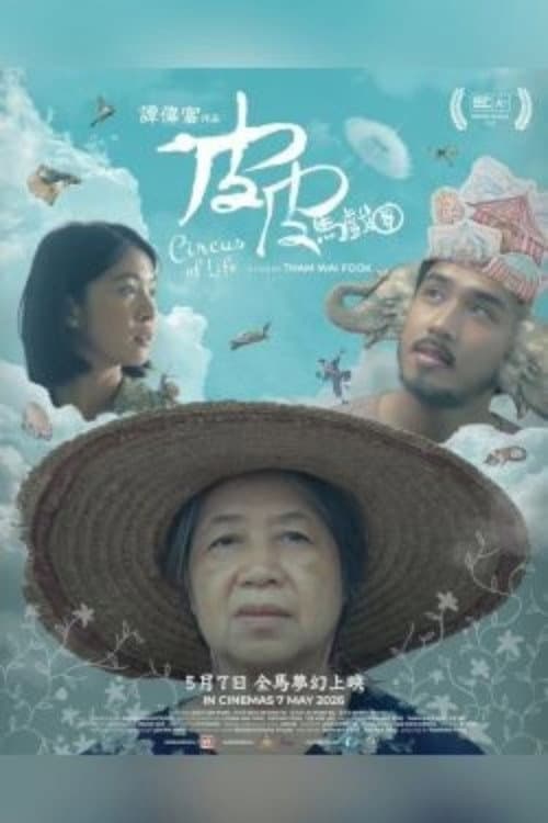 Circle Of Life poster