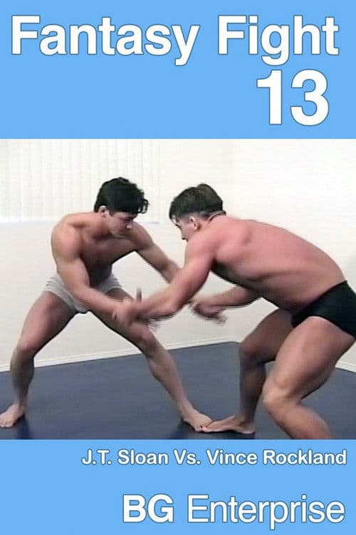 Fantasy Fight 13 poster