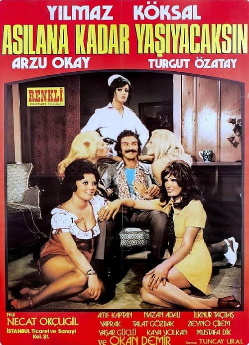 Asılana Kadar Yaşayacaksın poster