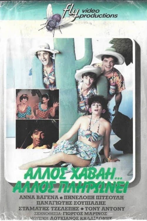 Άλλος Χαβάη άλλος πληρώνει poster