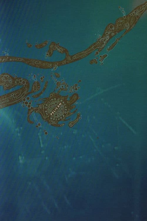 Pelican: After The Ceiling Cracked poster
