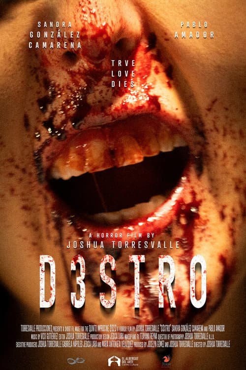 D3STRO poster