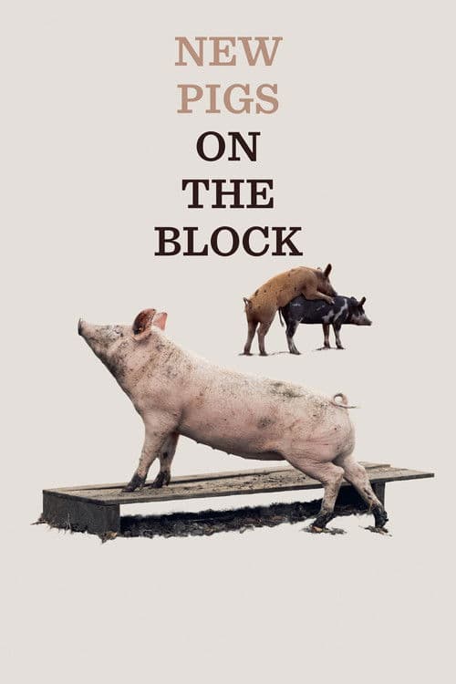 New Pigs on the Block poster