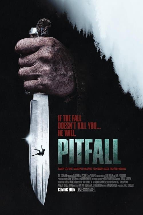 Pitfall poster