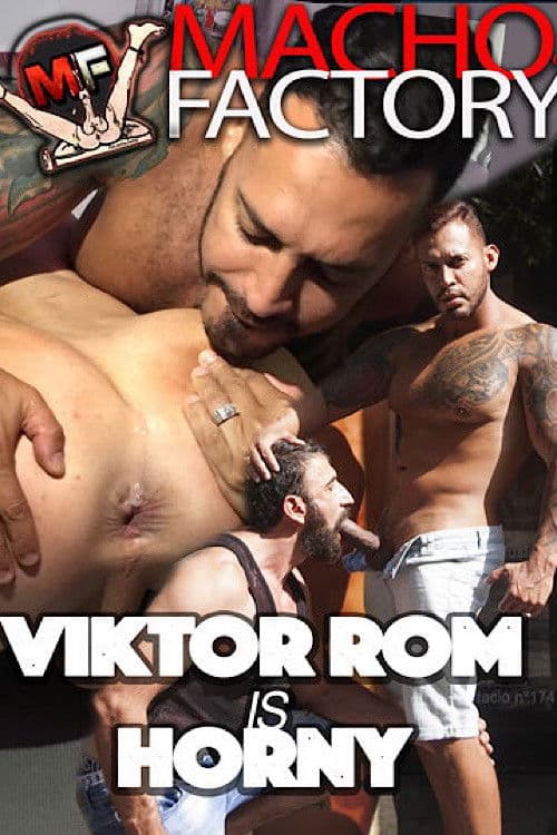 Viktor Rom Is Horny poster