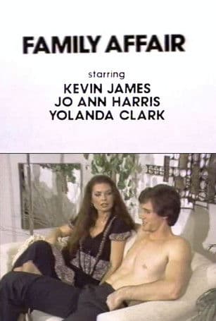 Family Affair poster