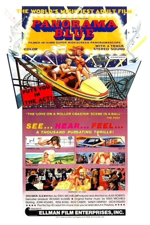 Panorama Blue poster