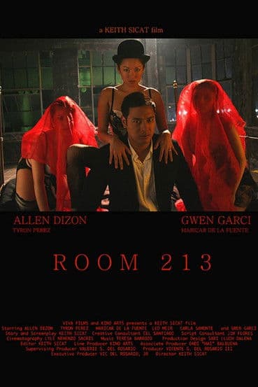 Room 213 poster
