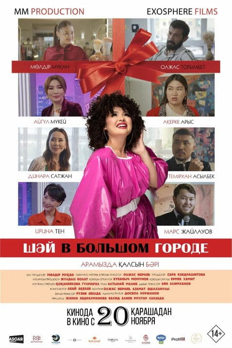 Shay in the Big City poster