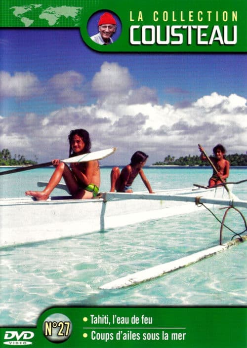 The Cousteau Collection N°42-1 |  Desert Diamonds: South Africa (Part 1) poster