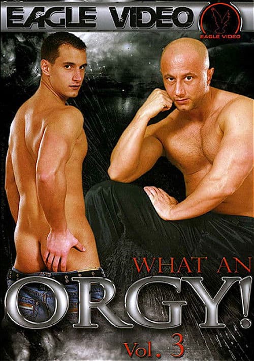 What an Orgy! 3 poster