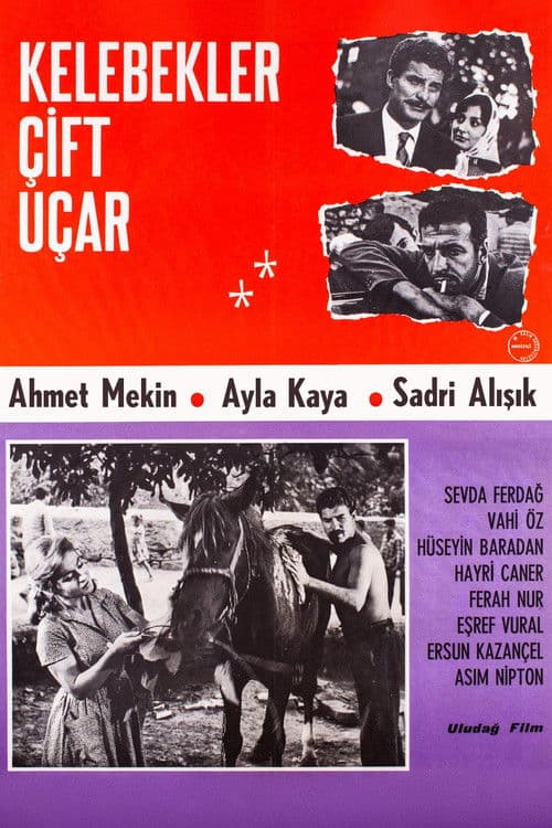 Kelebekler Çift Uçar poster