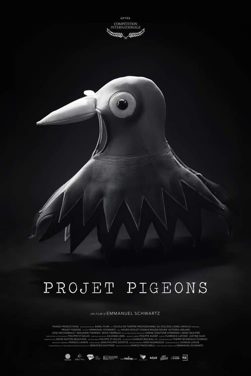 Projet Pigeons poster