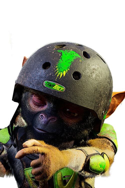 Tim profile photo