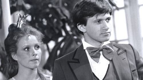 Láďo, ty jsi princezna! poster