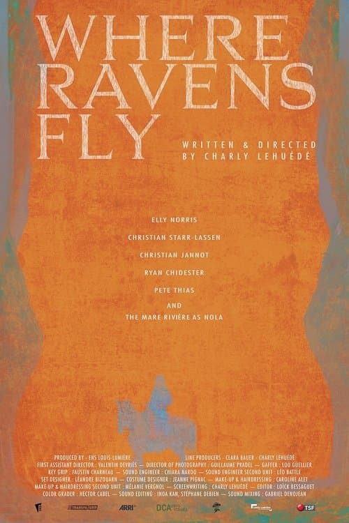 Where Ravens Fly poster