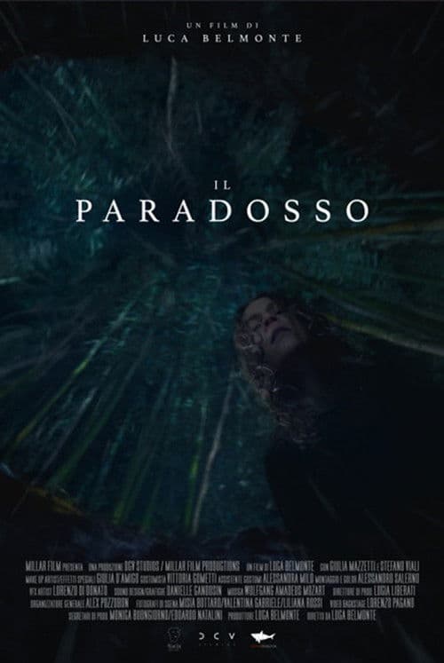 Il paradosso poster