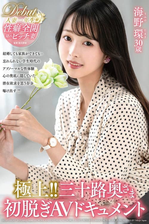 極上！！三十路奥さま初脱ぎAVドキュメント 海野環 poster