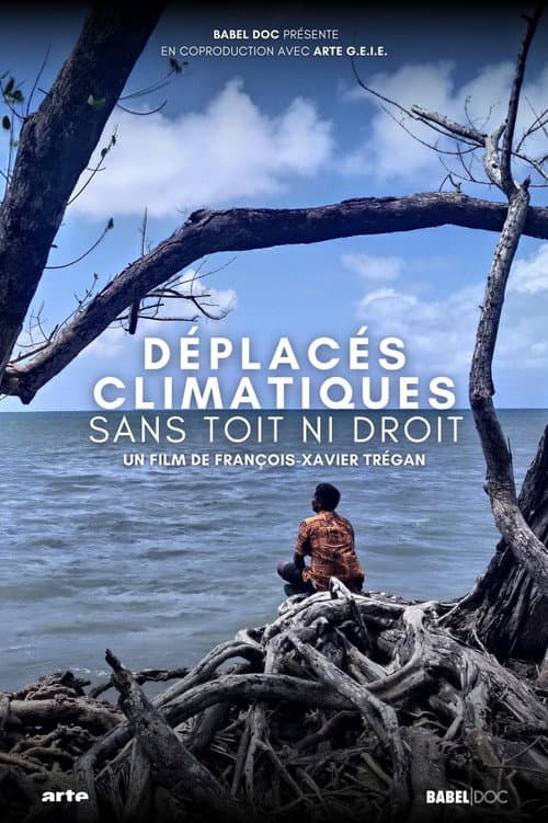 Climate Refugees: A Global Challenge poster
