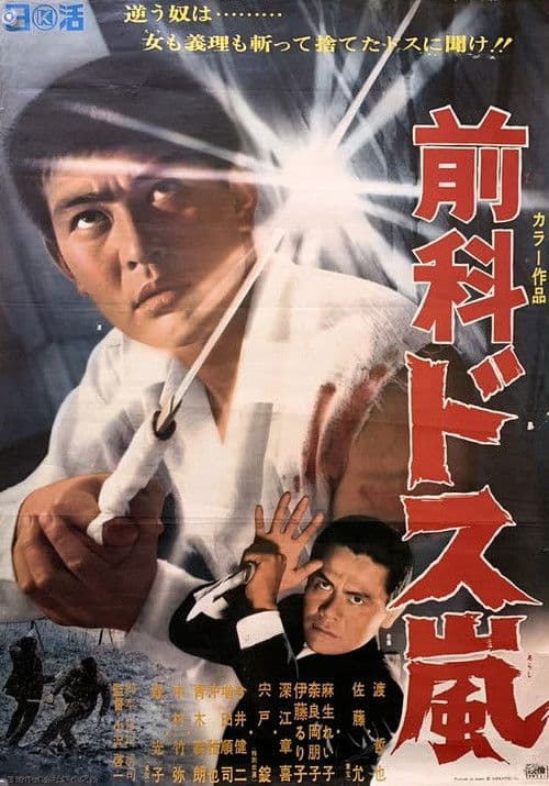 Ex Convict: Sword Storm poster