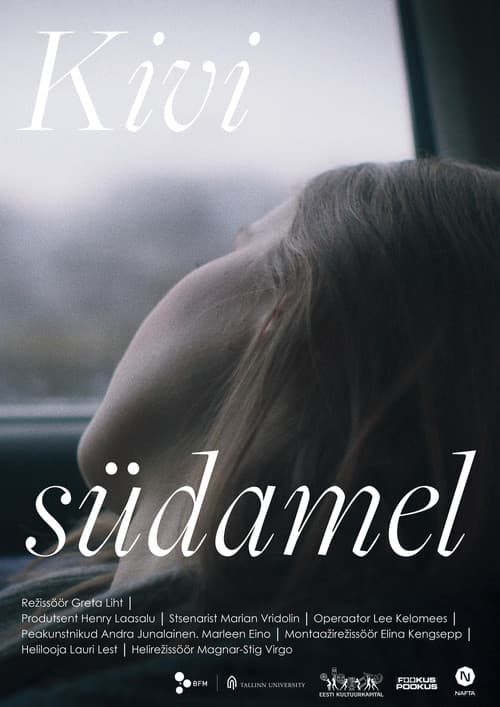 Heart of Stone poster