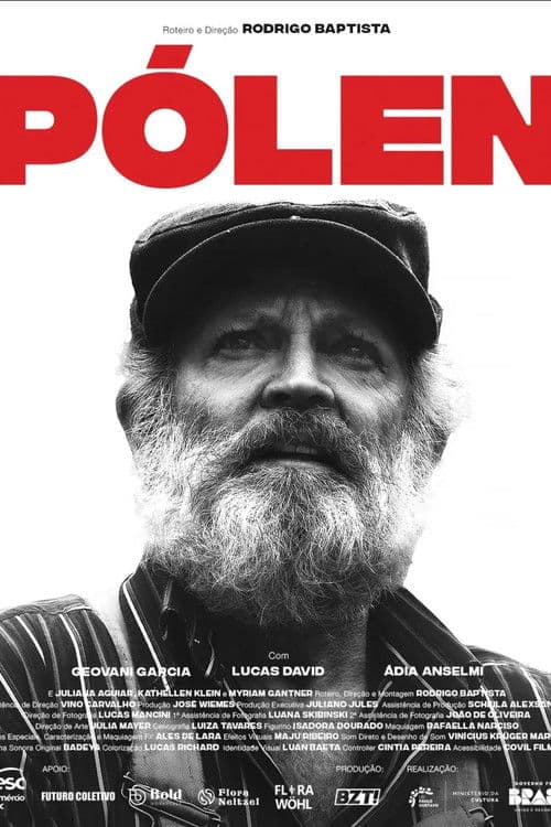 PÓLEN poster