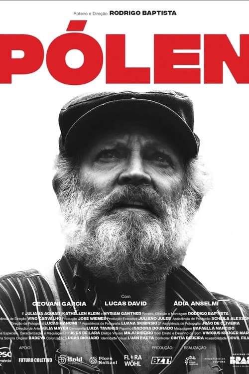 PÓLEN poster