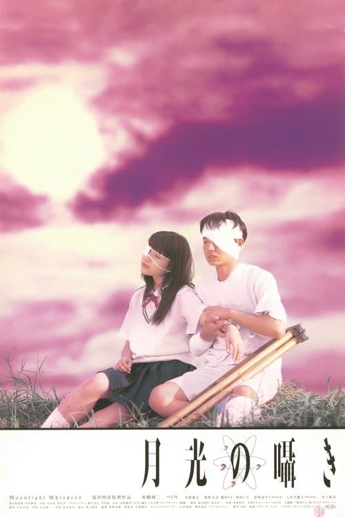 Moonlight Whispers poster