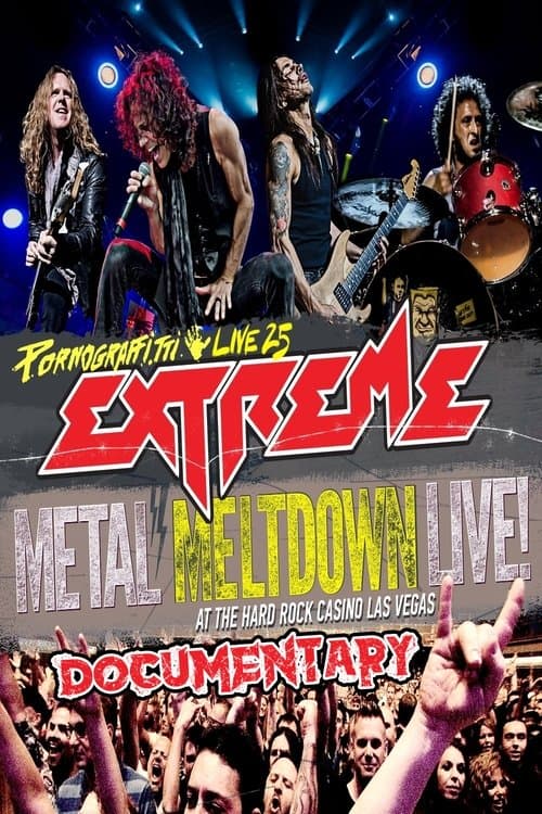 Extreme: Pornograffitti Live 25 Documentary poster