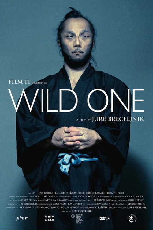 Wild One poster
