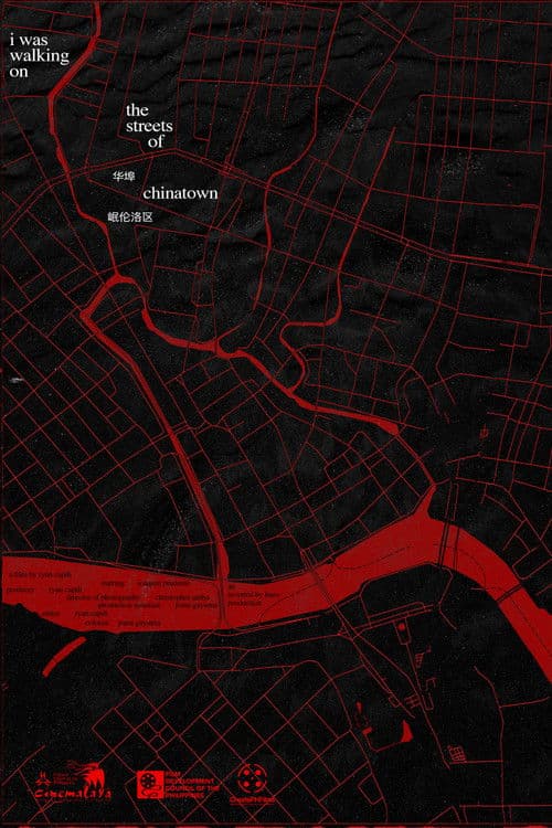 i was walking on the streets of chinatown poster