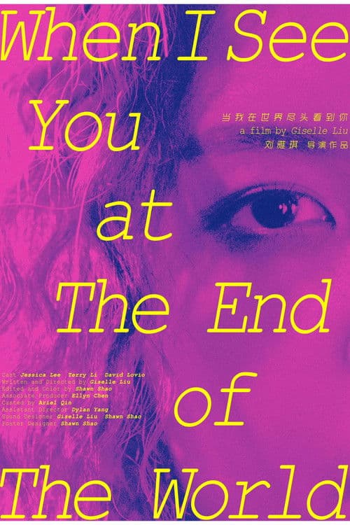 When I See You At The End Of The World poster