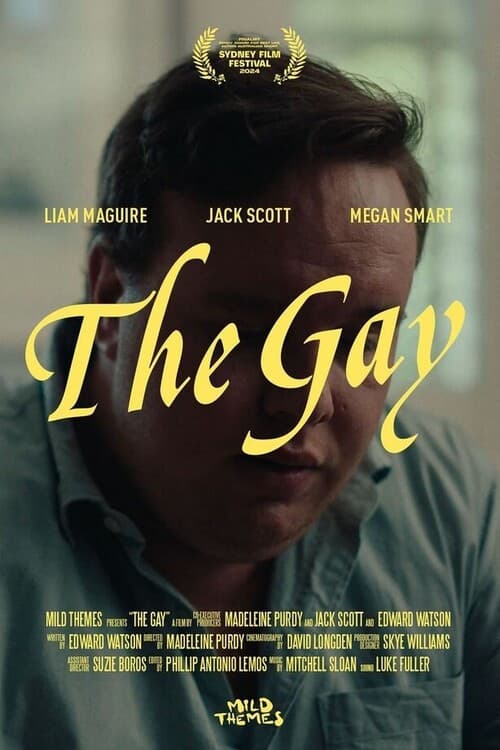The Gay poster