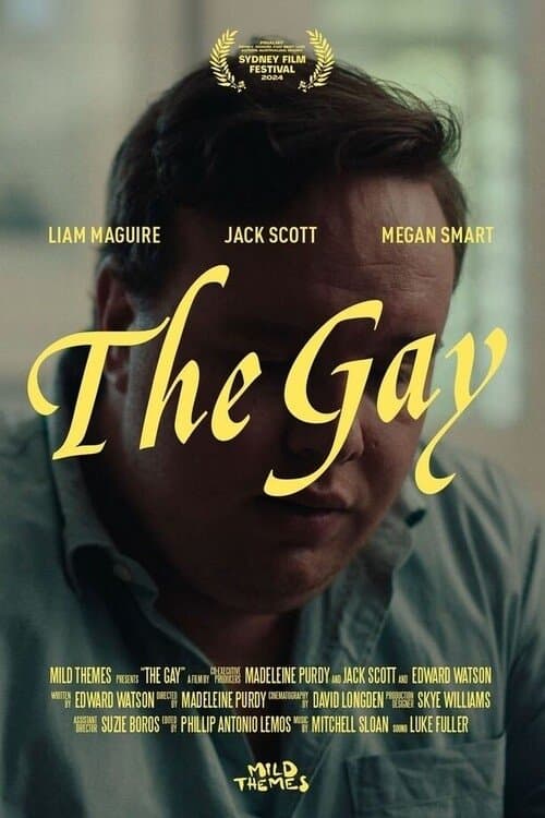 The Gay poster