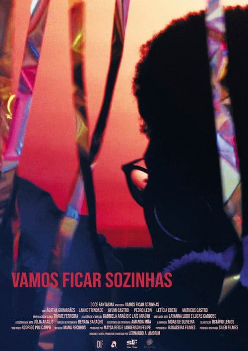 Vamos Ficar Sozinhas poster